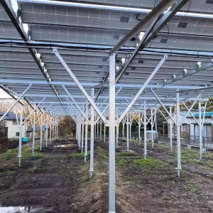 Professional Design Solar Farm Racking System 1mw 10kw 30kw Aluminum or Steel Agriculture Solar System - Image 2