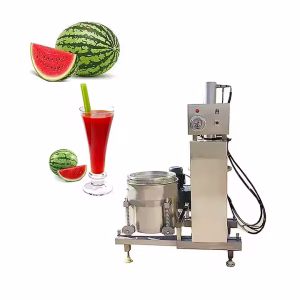 Professional Hydraulic Press Juicer Machine Juice Making Machine/ Industrial Hot Sale Cold Press Juicer - Image 2