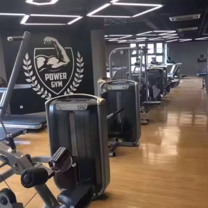 Dezhou Commercial Gym Equipment Leg Press 45 Degrees Leg Curl Machine Bodybuilding Leg Extension - Image 2